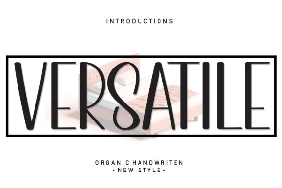 Versatile Display Font for Modern Web Design